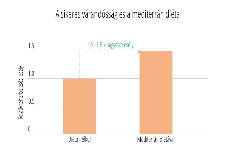 Kép1